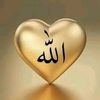 user76372261169465