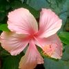 মোছা সুইটি আক্তার