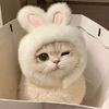 cats.travel7