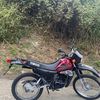 brayanmorales5451