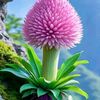 maqsood.alam854