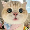 yully.bjf