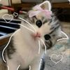 bbubblemee004