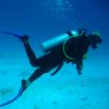 diving hunter