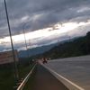 kngdilz