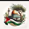 tayyabkhalil870