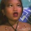lacerta27jiafei63