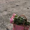waleedkhalfan32