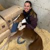Chronicle_horse_sanctuary