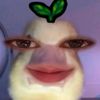 _yiinallien