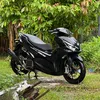 hamlastiktokshop05