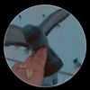 user63031184029164