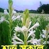 meghlaakash1092