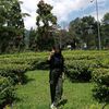 wi_naaa07