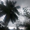 user9240257081874