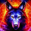@ CUTE WOLF ~ ____