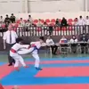 taman.karate
