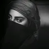 ll_dd24