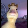 sawnphyo1