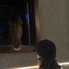 roor_love7