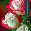 atif_king_2