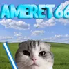 ameret66
