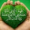user8273699526754