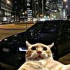 leo_502._