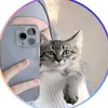 kcha_xambar678