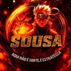 sousanfs