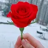 rmma279