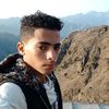 user4453951905267