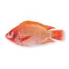 mojarra_desnutrida