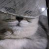 esma.nur.argunhan