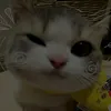 cwinsi39withpage