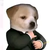 a4basanok