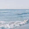 rass_2223
