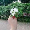 sumu_0387