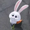 あいら