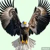 okgas6419