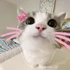 nhtunng
