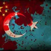 zeynpm54