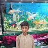 ali.laskani.3023