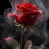 haii_dangg_2