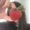 dino_sour66