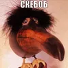 ubggjj