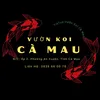 Vườn Koi Cà Mau 🎏