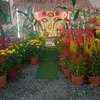 chitu671