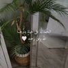 menna.naser44