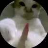 smlleo1